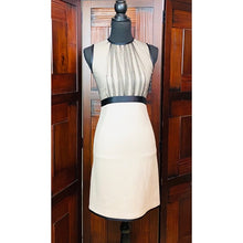 Load image into Gallery viewer, Lida Baday 100% Silk Sheath Dress