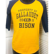 Load image into Gallery viewer, Gallaudet University Bison Baseball T-Shirt

