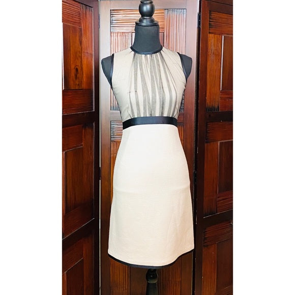 Lida Baday 100% Silk Sheath Dress