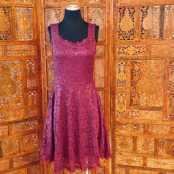 Berry Love Lace Tank Mini Dress NWT