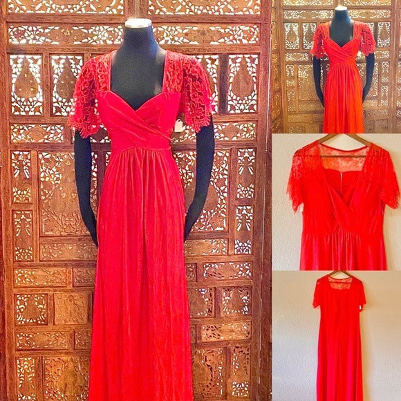 Illusion Lace Sleeve Dress NWT